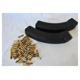 Ruger BX-25 Magazines and Ammo