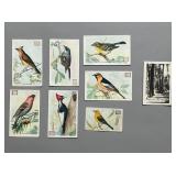 Cal Baking Soda Birds of America Cal Baking Soda Birds of America