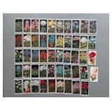 WIll’s Cigarette Cards Flowers WIll’s Cigarette Cards Flowers