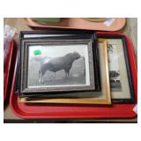 ASSTD SMALLER FRAMED PHOTOS