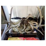 ANTLERS, FISHING LURES, MORE