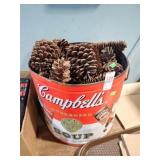 CAMPBELL'S SOUP TIN W/ PINECONES