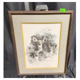 Framed Wildlife Print by Robert Spannring...