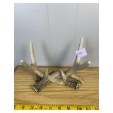 Rustic Molded Faux Deer Antler Tabletop Stand