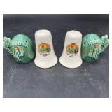 Arizona Tucson Cactus Salt & Pepper Shakers