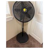 Fan