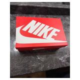 Nike dunk low retro