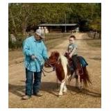 Mini Mare