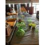 LIVE CONSIGNMENT  AUCTION 