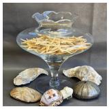 Glass Vase w/Starfish & Misc Shells