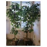 Faux Trees w/Lights -works