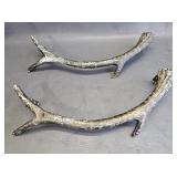 Metal Antlers w/Mounting Brackets ???