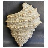 9' Shell Wall Pocket Vase