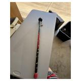 Decorated Walking Stick with Spherical Handle and