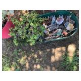 Miniature Fairy Garden Planter with Succulents and