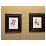 Pair of Framed Bird Prints