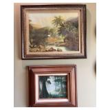 Framed Nature Prints