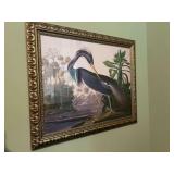 Avian Prints 20”x24” and 31”x26”