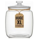 kitchentoolz 2.5 Gallon Extra Large Glass Cookie J