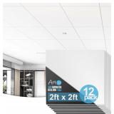 Art3d 12-Pack Smooth Drop Ceiling Tile 2ft x 2ft i