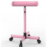 TASALON Premium Salon Tray on Wheels, Aluminum Sal
