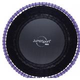 JumpSport 350 PRO Indoor Heavy Duty Fitness Trampo