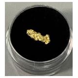 Gold Nugget #1