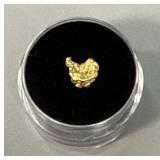 Gold Nugget #2
