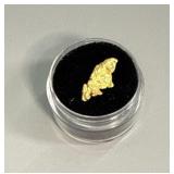 Alaskan Yukon Gold Nugget