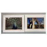 (2) Dan Stuart Signed Photographs W/ Matting