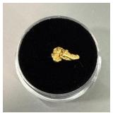 Alaskan Yukon Gold Nugget #2