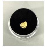 Alaskan Yukon Gold Nugget #1