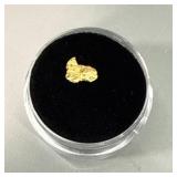 Alaskan Yukon Gold Nugget #3
