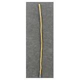 Cactus Core Walking Stick