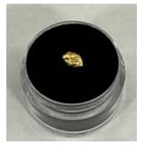 Alaskan Gold Nugget #1