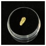 Alaskan Yukon Gold Nugget #1