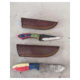 Set of 2 knives with sheaths