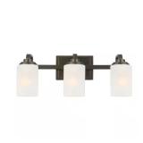 $60 3-Light 21 in. Oil-Rubbed Bronze Contemporary
