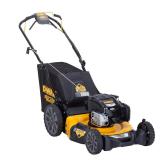 $449 DeWalt 12AVP2R3739 21 in. 163 cc Gas Self-Pro