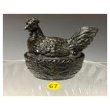 Hen on Nest