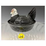 Hen on Nest