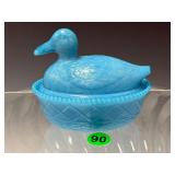 Pintail Duck