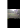 Newcomerstown 118 Acres Hunting Land