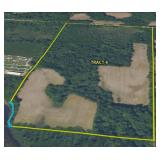Tract #4 HOG CREEK RD 80 ACRES W/ LAKE FRONTAGE
