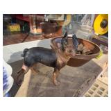 CAST IRON DOG