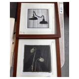 Framed Artwork Depicting Flowers and Lamps