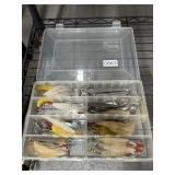 Fishing Lures in Organized Case