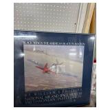 Framed Black Wings Aviation Print
