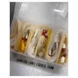 Fishing Lures in Plastic Case