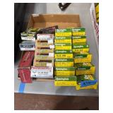 Rifle Long Gun Ammo Assortment